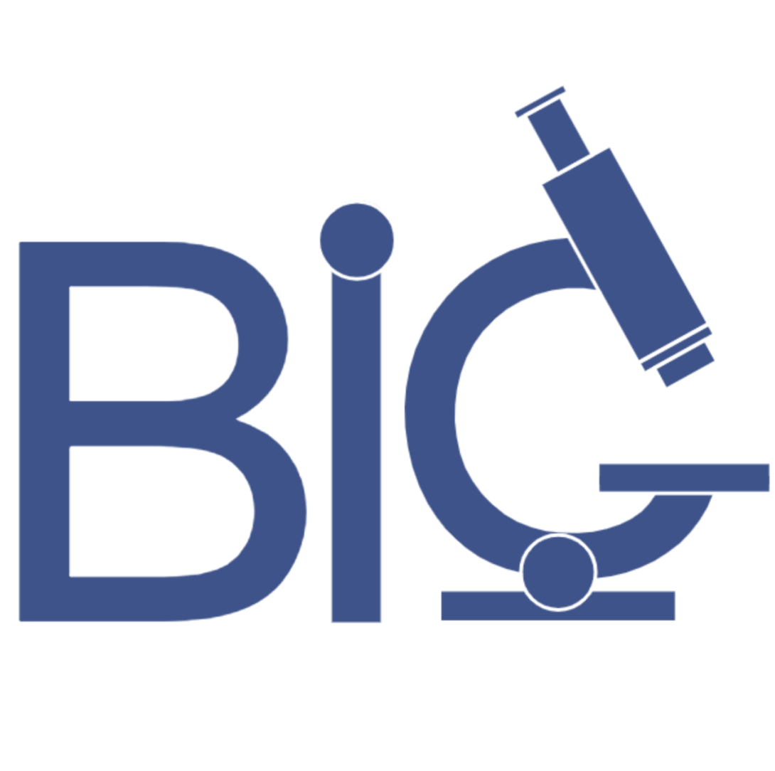 BIG's Organization Logo. The logo consists of the letters 